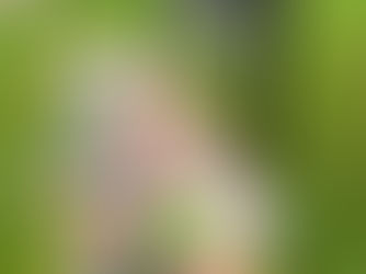 A vigil for young Formby boy