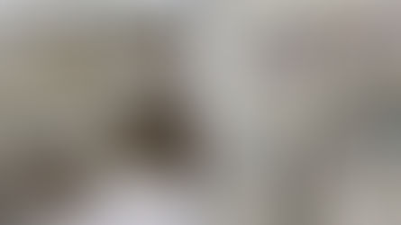 Three arrested after over £50,000 and Class A drugs found in a house in Bootle