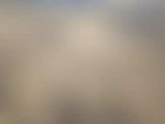 National Trust Formby replace old wooden boardwalk near the picnic area in the pinewoods