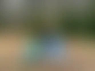 ♿️ Making Formby Beach Accessible – Free Sand Wheelchairs Available from National Trust