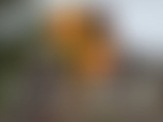 Formby High School are looking to fill the position of IT Technician