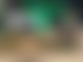 Free turf giveaway TODAY In Formby