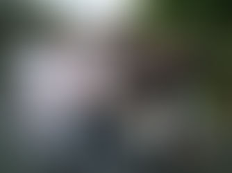 Congratulations to FHS Class of 2017 on fantastic GCSE results!