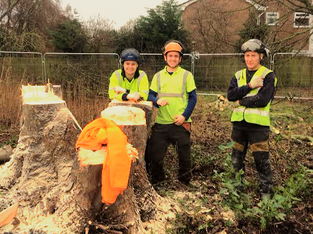 Free logs to Formby residents this Saturday