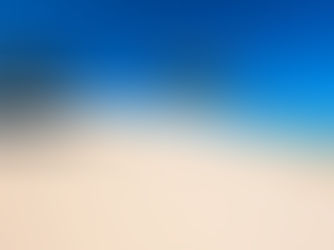 Formby Bubble Do Not Agree With The Mirror – Our Beach Is Beautiful Thanks to Our Amazing Volunteers 💚