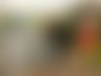 Community trigger activated for Duke Street park in Formby to tackle antisocial behaviour