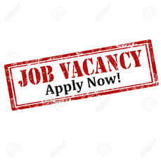 Personal Assistant Carer Job to join a small team of carers