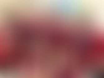 Formby school wins in Merseyside Dodgeball Country Finals with some fantastic sportsmanship