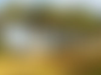 Good Morning on Thursday 14th October. Cloudy with brief brighter intervals in Formby