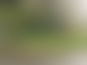 RTC on Moss Side this morning just before 10am...