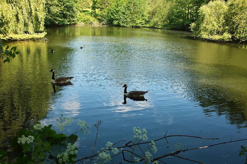 Waterlow Park, London.jpg
