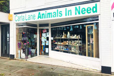 Volunteers Needed – Carla Lane Animals in Need