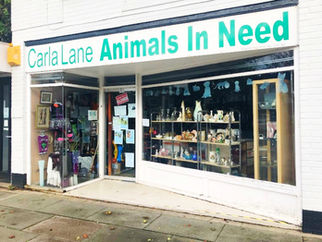 Volunteers Needed – Carla Lane Animals in Need