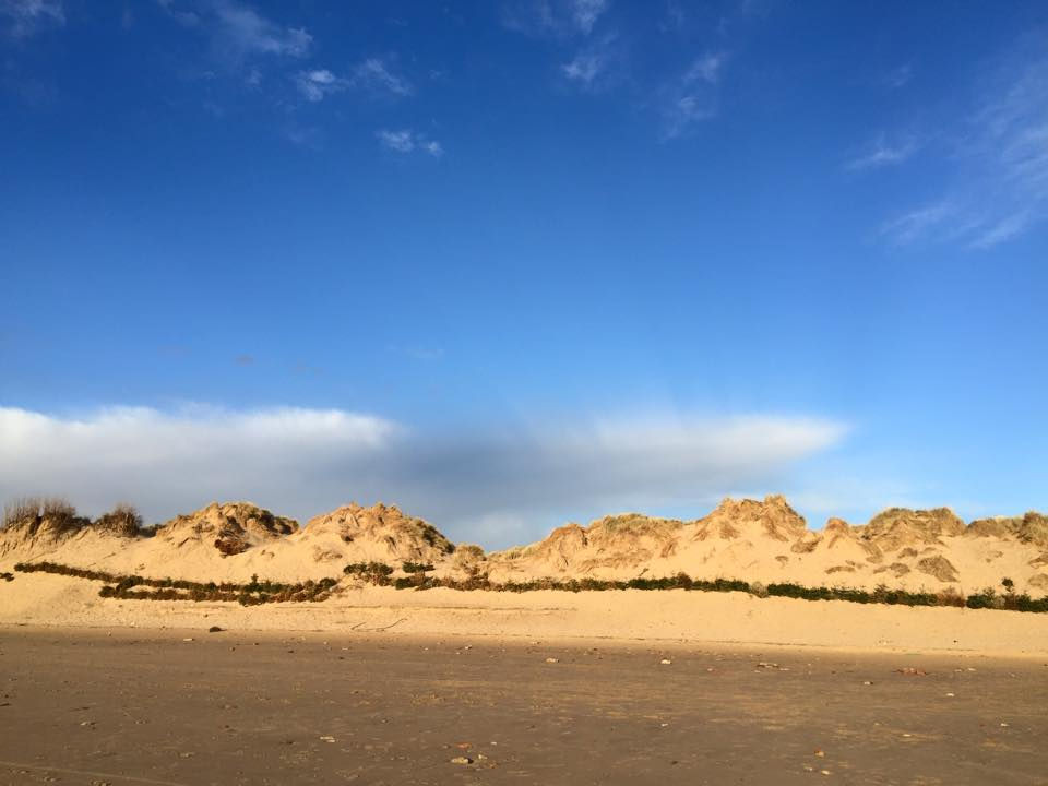 Last Day in April 2015.jpg