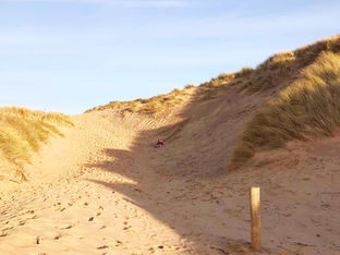 A dry day with hazy sunshine on Thursday 18th March