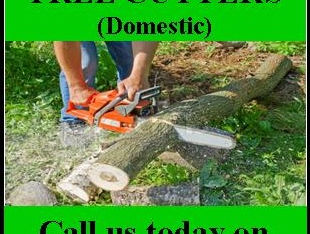 New Business advertises with Formby Bubble.....