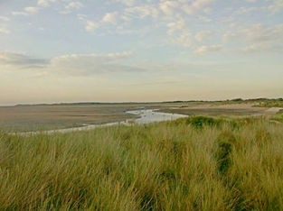 Hightown Dunes - Friends of the Sefton Coast - Sunday 14th Feb