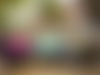 Save our Village Trees meeting had a great response in the village today