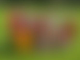 Happy 66th Birthday to Formby Junior Sports Club!!