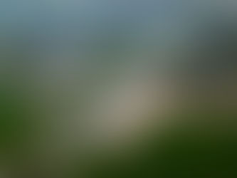 Thornton bypass - the £20m link road opens August 19th