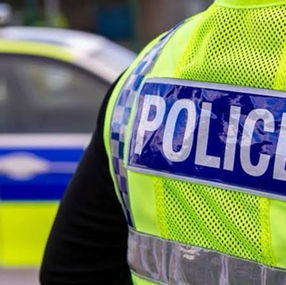 Armed Police Respond After Dog Attack in Hillside