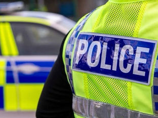 Armed Police Respond After Dog Attack in Hillside