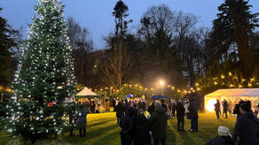 Local families invited to remember loved ones at Christmas at the Light up a Life Christmas light switch on