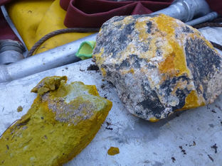 Palm Oil Waste Reported on Sefton Coast – Dog Owners Urged to Take Care