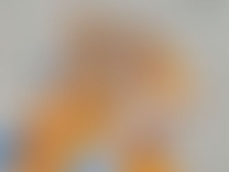 Merseyside and Lancashire Red Squirrels have confirmed that squirrel pox has sadly resurfaced in Formby