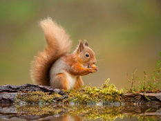 Good Morning on Tuesday 29th March. Some sunshine developing today but mainly cloudy in Formby