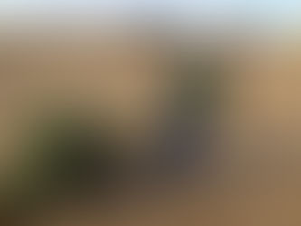 Christmas Tree Recycling in Formby.....