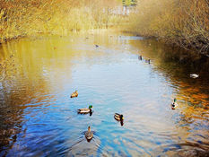Good Morning on Tuesday 22nd March. Sunny spells in #Formby and feeling warm in the sunshine