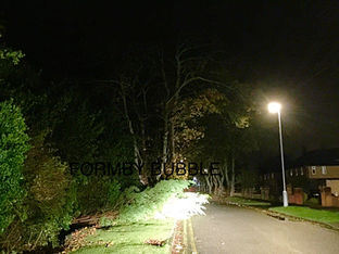 Good Morning in our Bubble