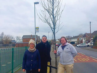 New 15ft trees planted in our Bubble