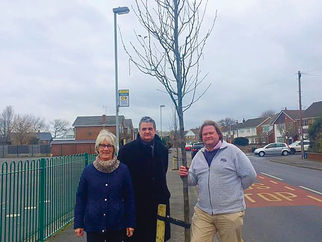 New 15ft trees planted in our Bubble