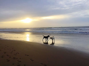 High Tide this afternoon in Formby