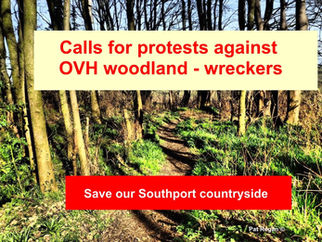 Calls for protests against OVH threat to George Drive Woods grows