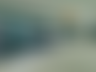 NEDBANK (NED): Candle Structure At Inflection Point - Tuesday, 13 August 2024