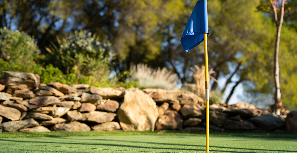 Blue golf flag on a miniature golf putting green.jpg