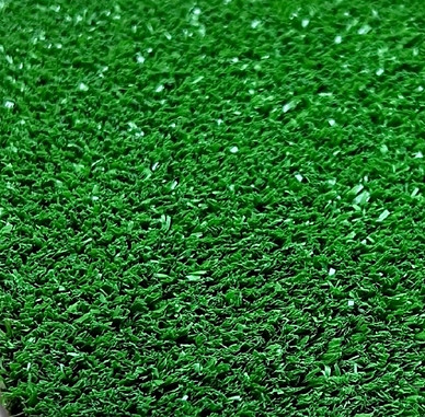 grass samples (1).jpg