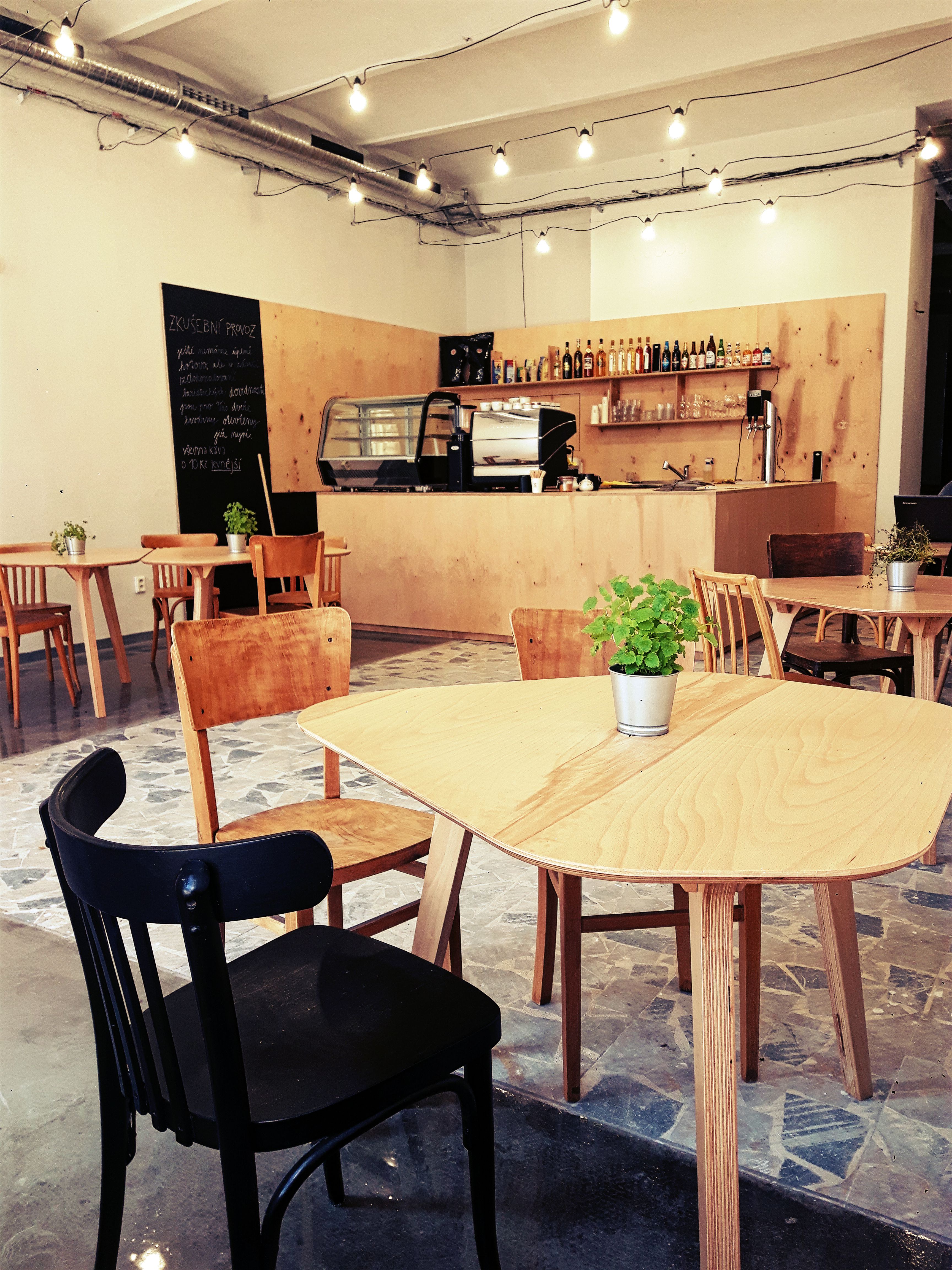 cafe na cucky 1
