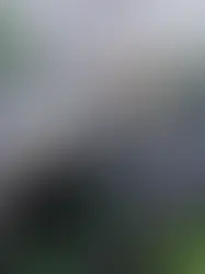 How Long Does THC Vape Effect Last