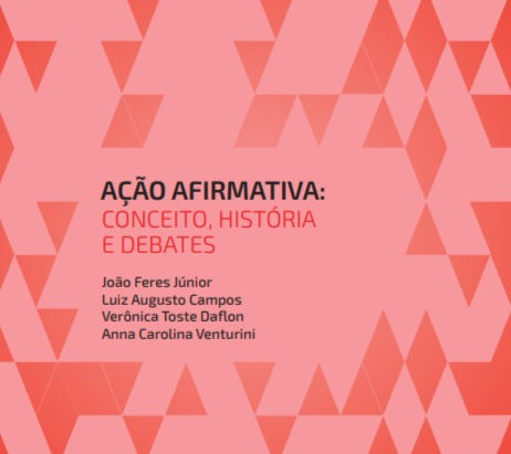 Resenha acadêmica do livro "Ação afirmativa: conceito, história e debates", por Rosileia Nierotka