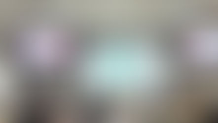 15ª Reunião Anual da REIPPE