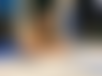 Lançamento do livro "Pacto pela alfabetização: arranjos e contextos"