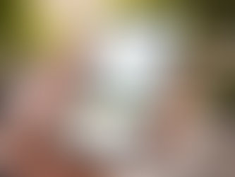 أمازون تعود للهواتف الذكية بعد ١١ عاماً من الفشل