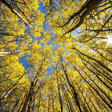 I Beg You Don't Embarrass Me...