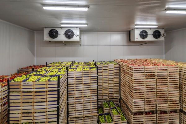 Các mức nhiệt độ kho lạnh phổ biến