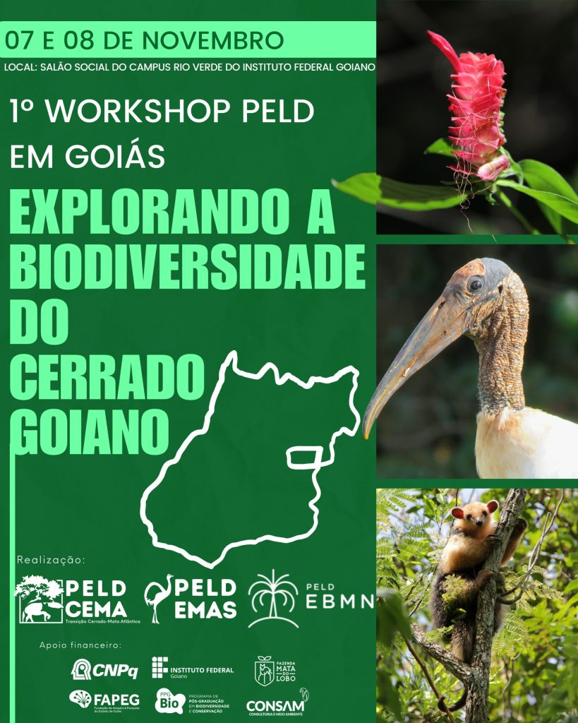 Arte: Comissão Organizadora do Evento