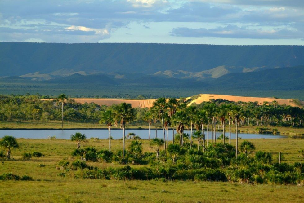 Rede Peldcom é formada pelos coordenadores dos projetos PELD e assessores de comunicação